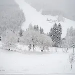 Adam 3* Špindlerŭv Mlýn
