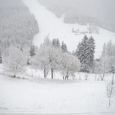 Adam 3* Spindleruv Mlyn