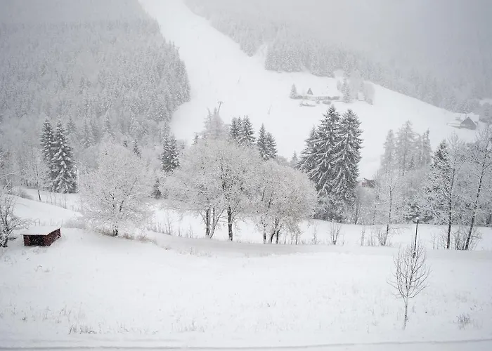 Adam 3* Špindlerŭv Mlýn